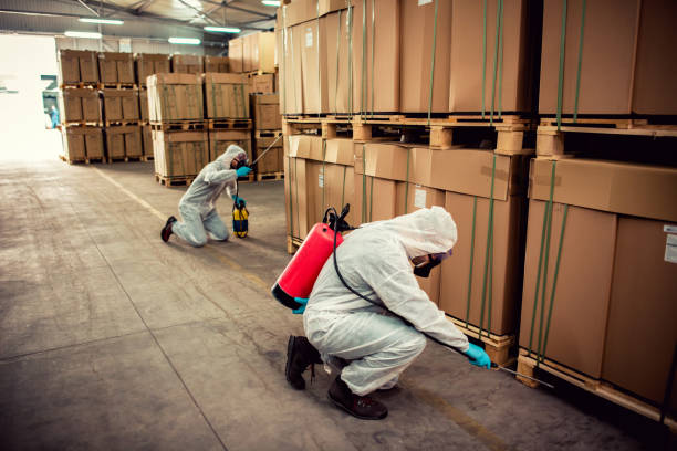 Trusted Marbleton, WY Pest Control Experts