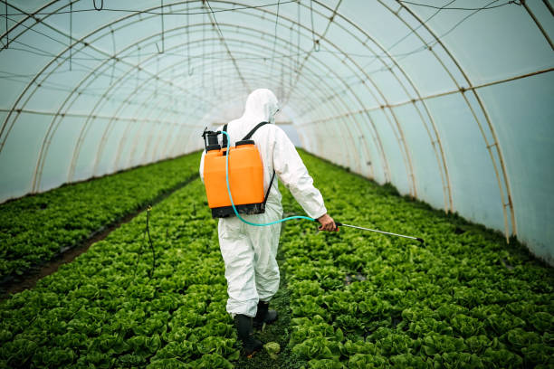 Best Pest Inspection Near Me  in Marbleton, WY