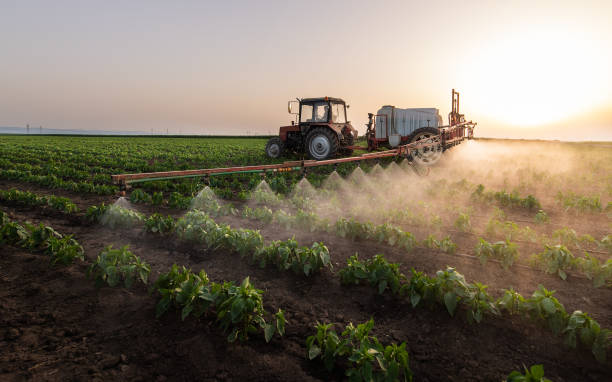 Best Best Pest Control Companies  in Marbleton, WY