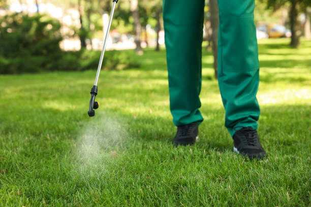 Best Flea Control Services  in Marbleton, WY