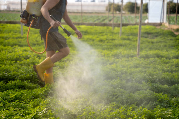 Pest Control for Restaurants in Marbleton, WY