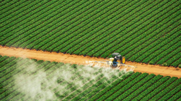 Best Pest Prevention Services  in Marbleton, WY